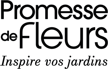 Promesse de Fleurs Soldes